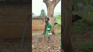 kau bru song 2023