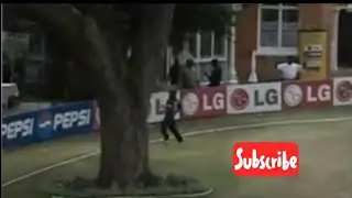 Tree inside the cricket ground.Pietermaritzburg