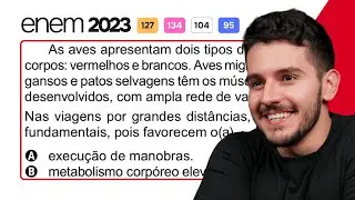 ENEM 2023 - As aves apresentam dois tipos de m&uacute;sculos em seus corpos: vermelhos e brancos.