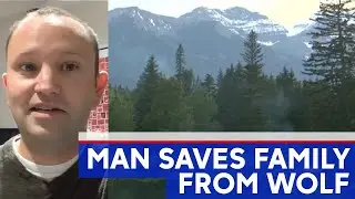 Stranger saves family from wolf attack in wilderness