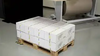 Automatic Roll To Sheet Cutting Machine Cut N Grip BE