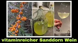 Sanddornwein selber machen | Wein aus Sanddorn Beeren | Selbstversorgung: Hobbykeltern