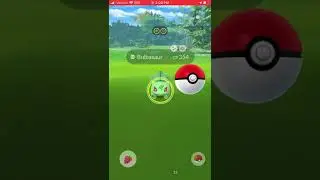 Bulbasaur community day! Shiny bulbasaur!#pokemon #shorts #bulbasaur