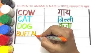 Pet Names Learning for Kids | Cute Animal Names with Pictures & Sounds&rdquo; abcd alphabet video2