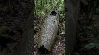 Crashed War Plane Found in Jungle With Strange Markings