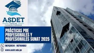 Practicas pre profesionales y profesionales Sunat 2025