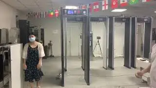 Walk through Temperature scanner with metal detection function gate tunnel COVID-19 Solutions