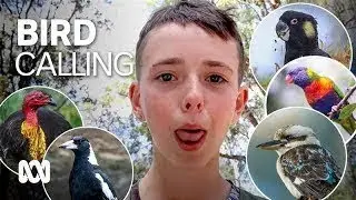 Welcome to the bird call Olympics 🦜🦆🏆 | ABC Australia