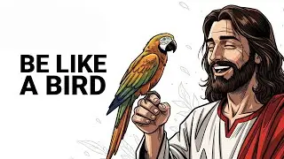 DON'T SKIP MY CHILD #godmessage #god #jesus #bird
