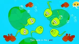 Life Cycle of a Frog Song 🥚🐸 | From Tadpole to Frog | Science for Kids