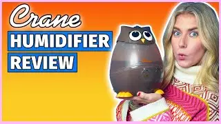Crane Adorable Mini Owl Cool Mist Humidifier Review - Best Humidifier for Kids??