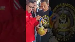 BRAVO SEXY AUTO CLUB INDONESIA