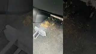 Cabin Air Filter Nissan Altima