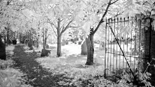 van johnson - haunting this body