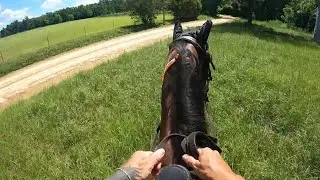 Timelapse trail ride!