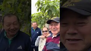 करेसा खेती लंडनमा ll ORGANIC FRUITS IN THE GARDEN UK ll