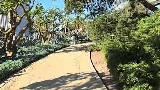🐾 Newport Beach Civic Center Park &ndash; Part 4: Dogs, Families & Fun