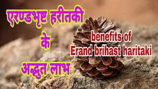 एरण्डभृष्ट हरीतकी चूर्ण के फायदे || sciatica | constipation | hernia?
