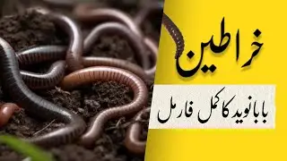 KHARATEEN SAAF KRNE KA TARIKA OR FAIDE - EarthWorms mosaffa karna