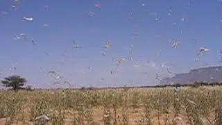 Mopti, Mali 2004