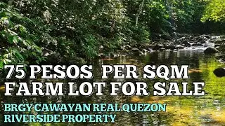 #vlog279 75 PESOS PER SQM FARM LOT RIVER FRONT IN BRGY CAWAYAN REAL QUEZON