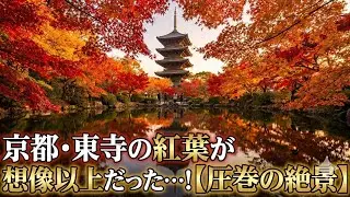 京都東寺の紅葉 | 写真集 | Kyoto Japan walking tour  | Photo book