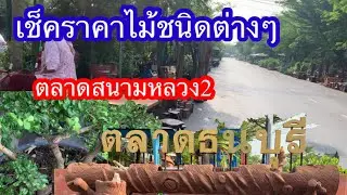 เช็คราคาไม้ชนิดต่างๆที่ตลาดต้นไม้สนามหลวง2เดือน พ.ค 66