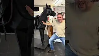 😏 Wunsch: Pferd. Lieferung: Plastikpony. 💯 pflegeleicht! #POV #Reiterhumor #Plastikpferd