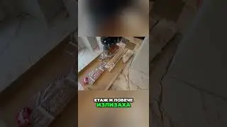 Поставиха ни Дървени Щори  #ремонт #къща #щори