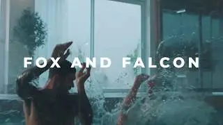 London Video Production Company Showreel - Fox and Falcon
