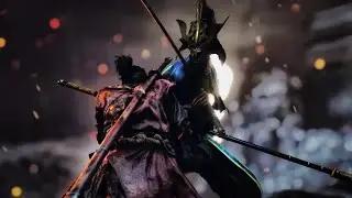 Beating any modded boss everyday until sekiro 2 comes out day 136