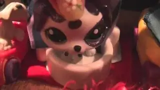 LPS sofieandellie plus Ginger coolio contest! (CLOSED)