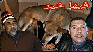 تعالى نديرو لخير في هاد لكلبة + مقلب في حسن شوا ديال كفثة #مقالب_تحديات #مرحبا