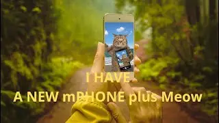 High-Tech and Cats 🤖🐱#cat #catlover #catvideos #happycatsletsgo  #catsmeow  #happycatclub #cutecat