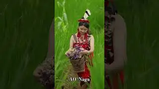 Beauty of Ao Naga traditional attire #traditionalcloth #traditionalattire