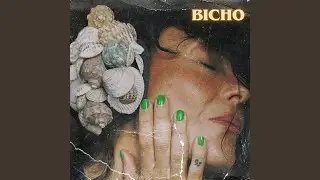 Bicho