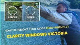 Как удалить мох с крыши (экологично) | Clarity Windows Victoria #удалениеммоха #victoriabc