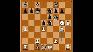 Oštro od samog početka uz odlične ideje za napad 🌟🌟🌟🌟 FISCHER vs PRANSKY #3612