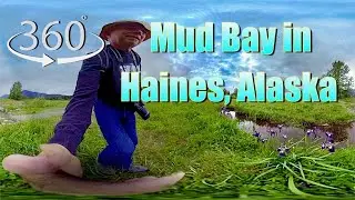 A 360˚ Walk on Mud Bay in Haines, Alaska in 4K
