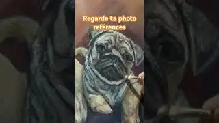 Regarde ta photo r&eacute;f&eacute;rence pour progresser   #acrylique #astuceart #peinture #portraitdechien