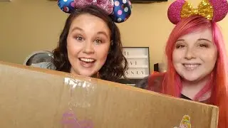 Disney YouTuber Box Swap