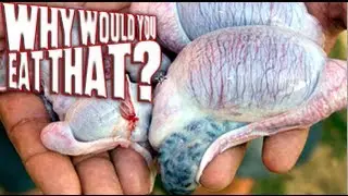 Bull Testicles aka Rocky Mountain Oysters - Why Would You Eat That?