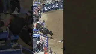 bullriding #rodeo #shorts #bullriding #rodeovideos