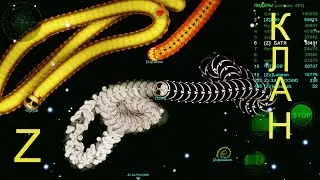 WORMAX.io [Z] БАТЯ. ЛУЧШЕЕ ЗА НЕДЕЛЮ.#3. Best Moments