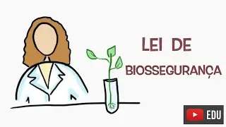 Como são regulamentados os OGM? #InstanteBiotec 79
