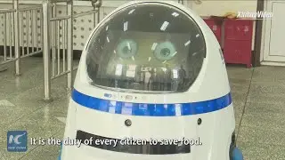Robot helps curb food waste in canteen in north China