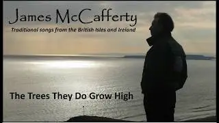 James McCafferty: The Trees They Do Grow High