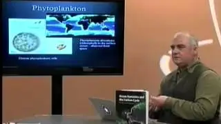 The Role of the Ocean in the Global Carbon Cycle