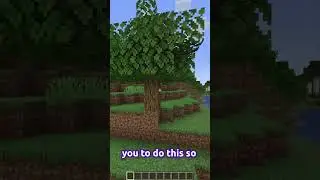 This Mod Fixes Leaf Decay.
