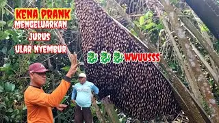 KENA PRANKK#panen #lebah #madu #hutan 